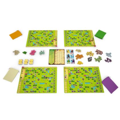 THE GUARDIAN OF HAVERSACK