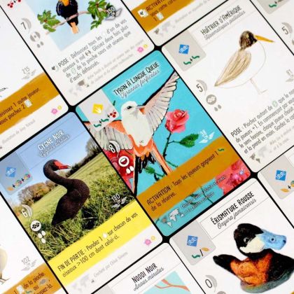 WINGSPAN: FAN ART PACK