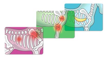 ВЕТЕРИНАРНА КЛИНИКА ЗА КОНЕ