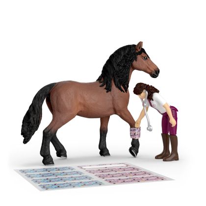 ВЕТЕРИНАРНА КЛИНИКА ЗА КОНЕ