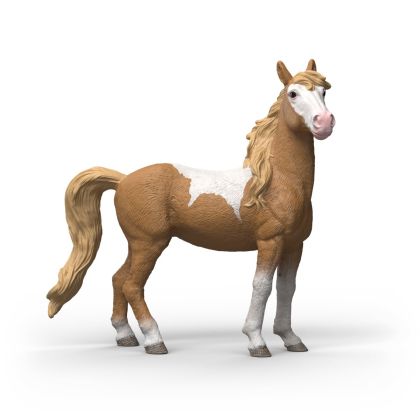 МУСТАНГ - КОБИЛА